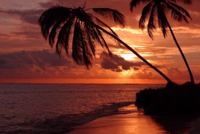 Beautiful silhouette of palm trees against a dramatic sunset at Playa Santa María, Cuba.